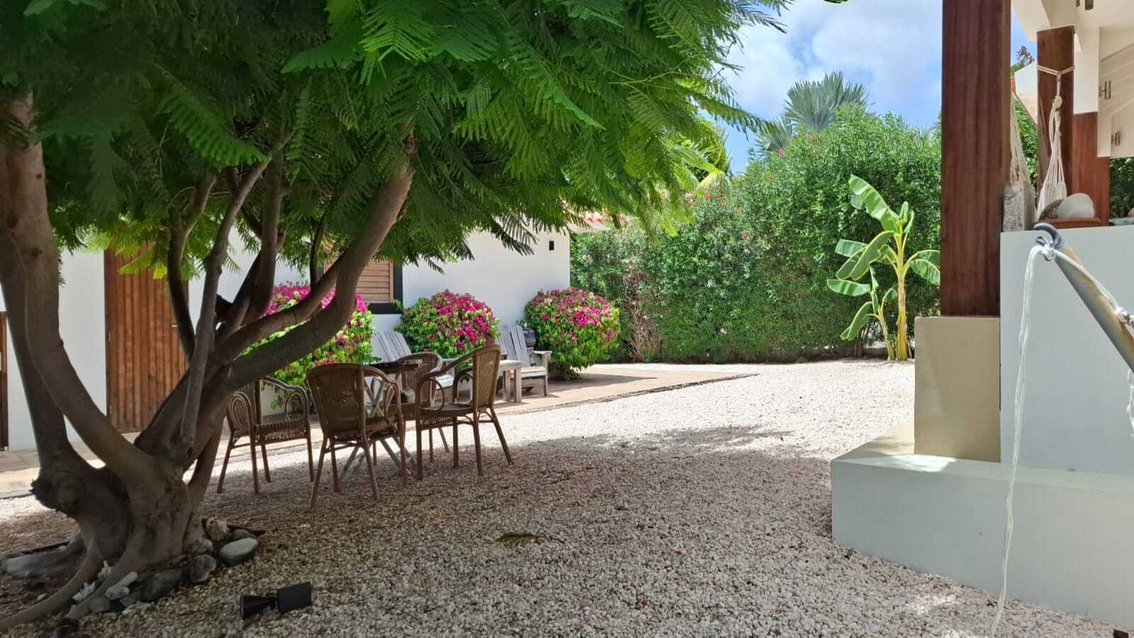 Caribbean Dream Bonaire tropische tuin