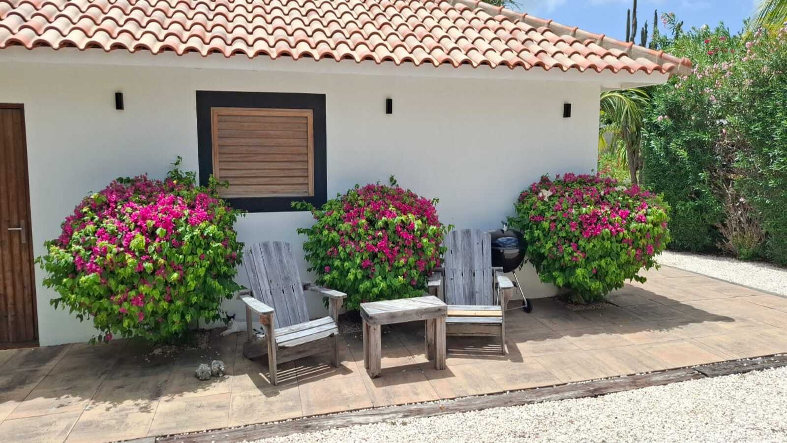 Caribbean Dream Bonaire terras